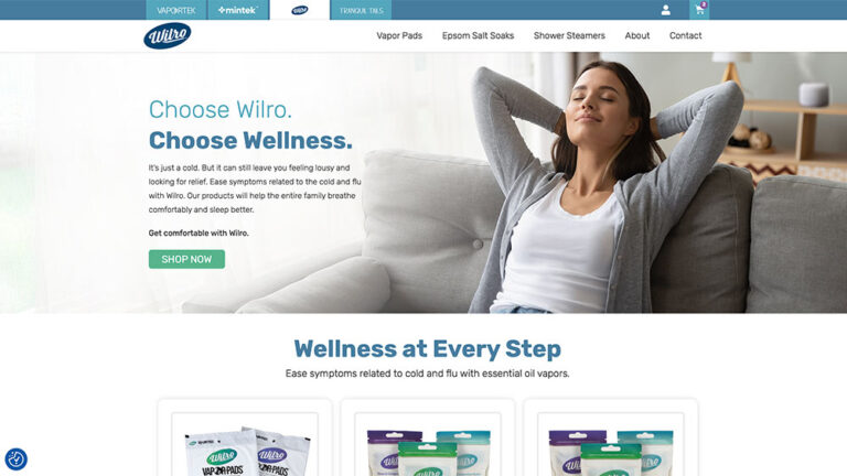 WooCommerce Website Designer Sussex | Custom WordPress Website WI